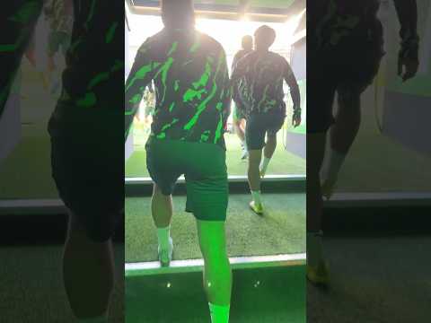 No reverse gear today. 🔥