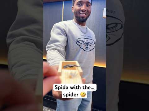 Spida got jokes on Halloween 🤣