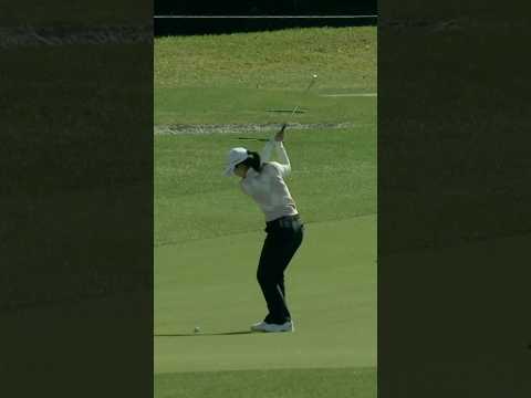 The perfect shot? Nothing but cup⬇️