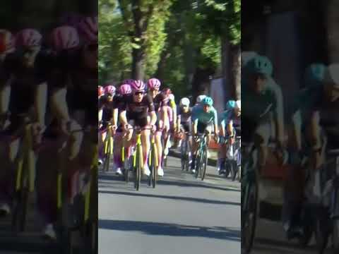 The unwritten rules of cycling 👀 Steven Kruijswijk laying down the law at the Giro 👨‍⚖️