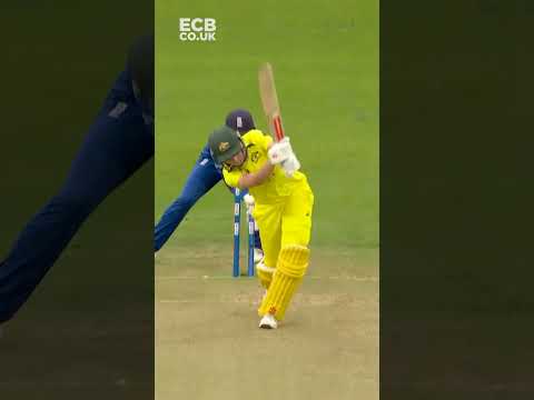 💥 Stumps FLATTENED