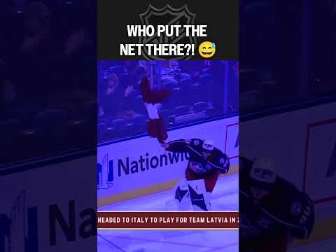 Net got involved 😅