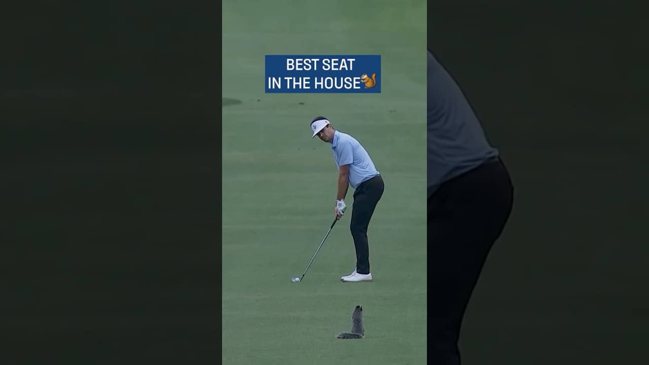 Squirrel got a front row seat to Beau Hossler😂🐿️