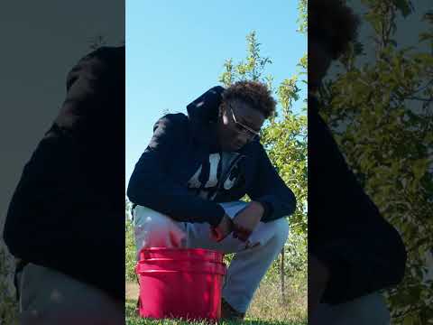 Apple Picking with Saniya