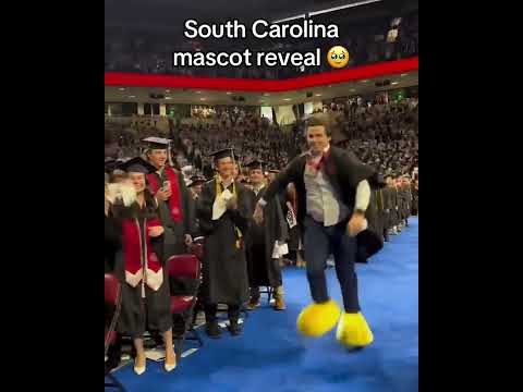 Every graduation, South Carolina reveals their mascots identity ❤️ (via @uofsc/TT)