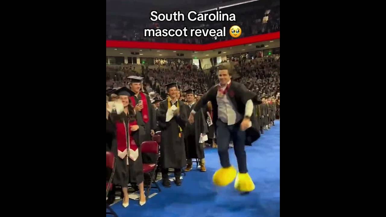 Every graduation, South Carolina reveals their mascots identity ❤️ (via @uofsc/TT)