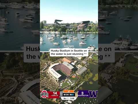 Okay, now you’re just showing off ❤️ #shorts