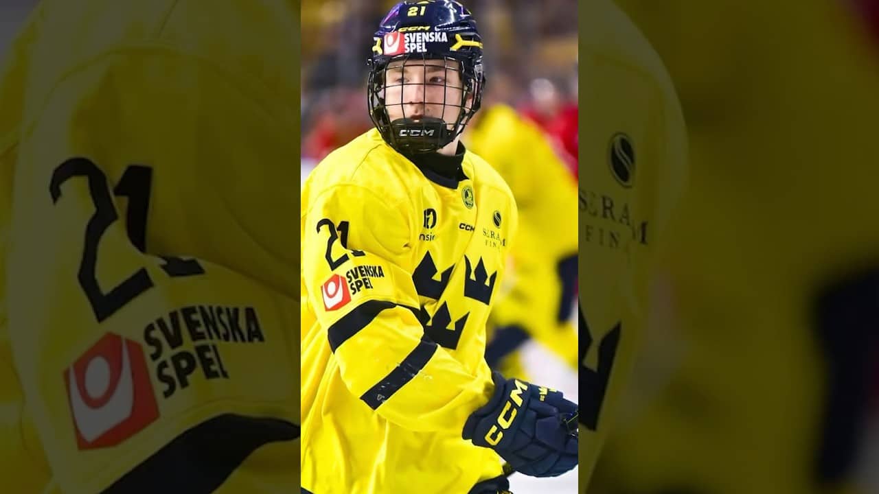 Drafted by Winnipeg Jets: Viggo Bjorck