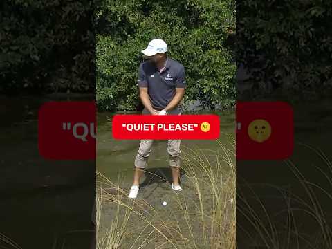 How am I supposed to HIT? 🤷‍♂️🪿