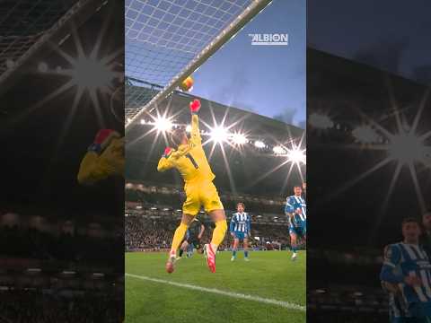 UNREAL Stop From Bart! 🤯 Net Cam vs Sunderland #brightonandhovealbion #verbruggen #premierleague
