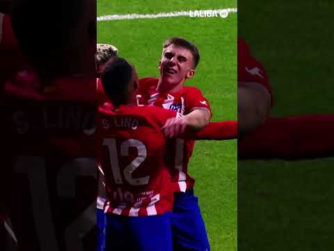 Happy Birthday, Samu Lino!