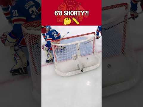 That’s One Tall Shorty! 😅