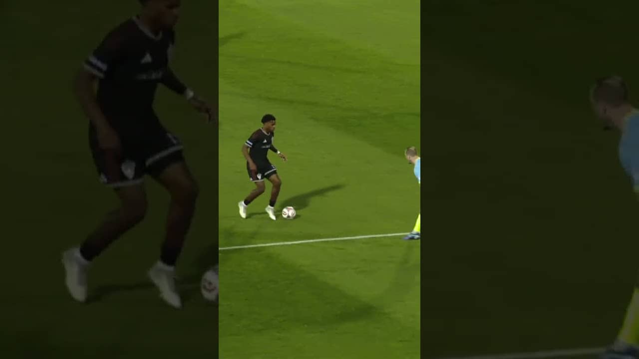 ✍️☄️ SIGNED, SEALED, SEALY