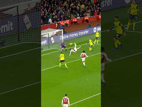 BRILLIANT BICYCLE KICK GOAL!