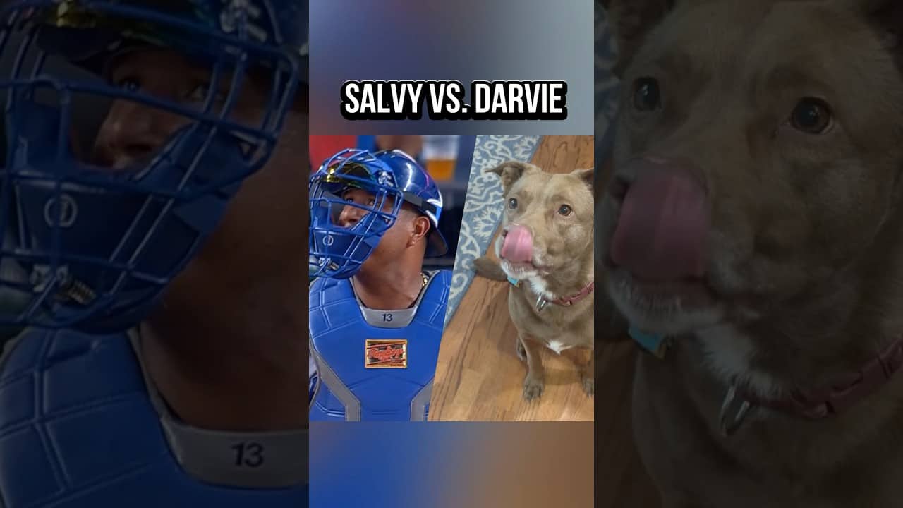 Salvy waiting on his ABS challenge vs. my dog Darvie waiting for my breakfast. 🤣 #mlb