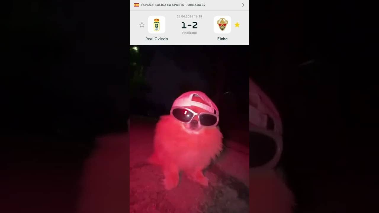 MOOD 😎💚 #Meme #ElcheCF