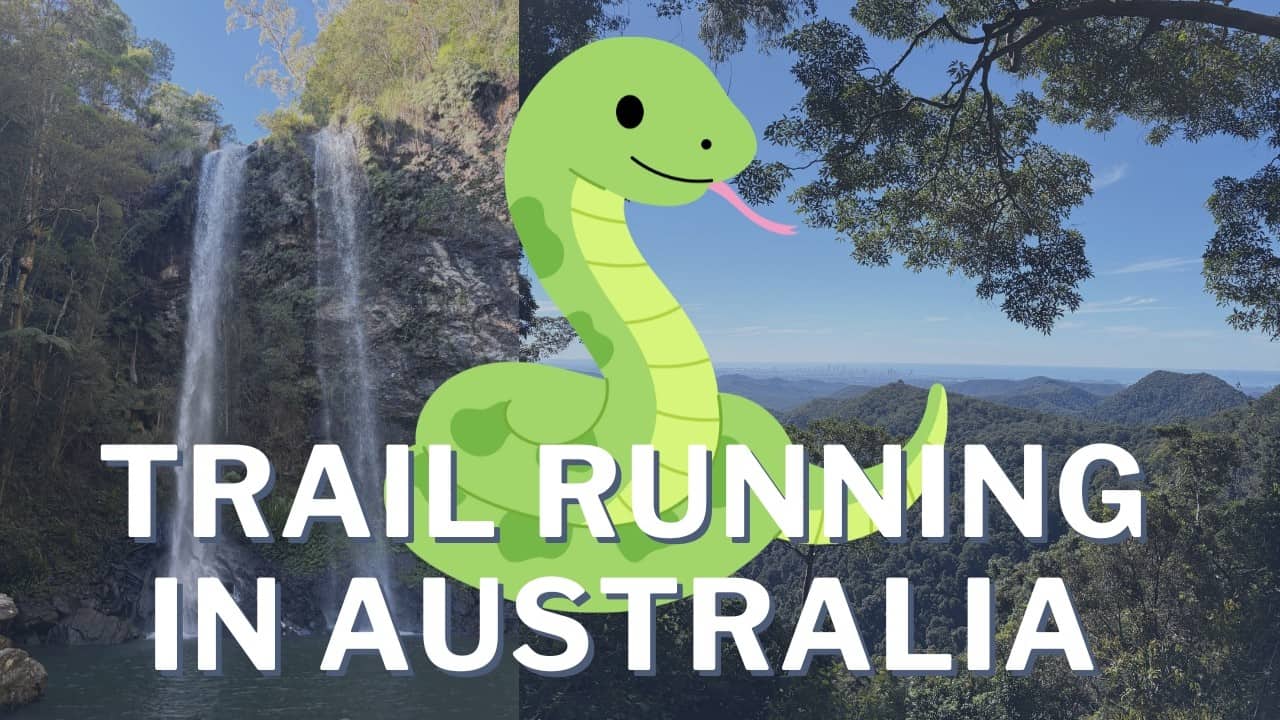 Running into a Snake in Springbrook National Park, QLD
