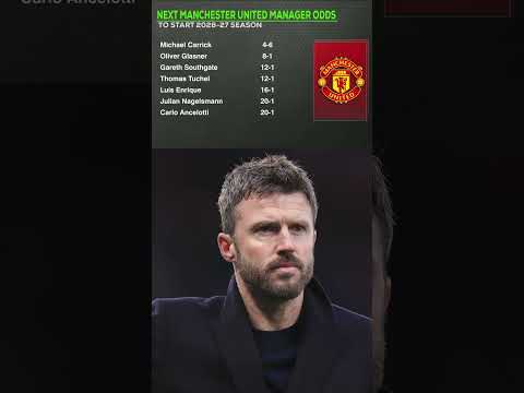 Dimitar Berbatov wants Michael Carrick to get the Man United job