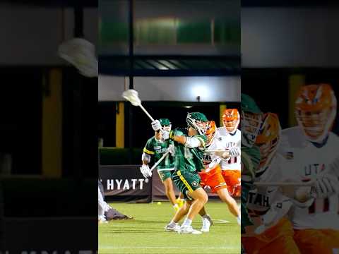 The Art of Lacrosse