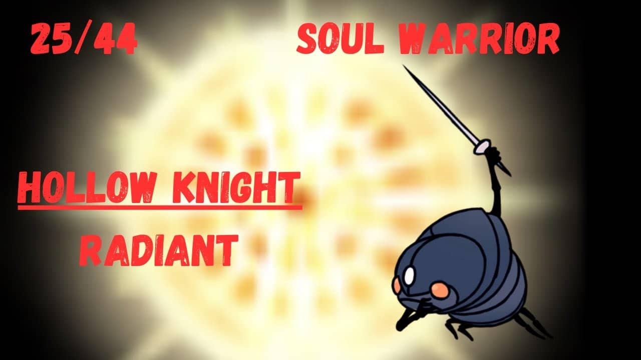 Hollow Knight | Soul Warrior | Radiant