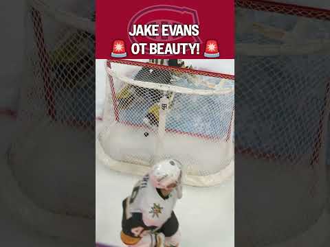 HABS WIN IT IN OT 😮‍💨🚨