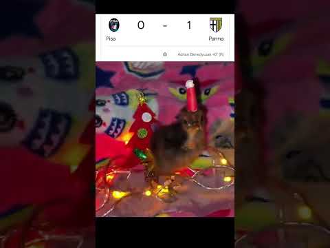 This Win  #serieaenilive