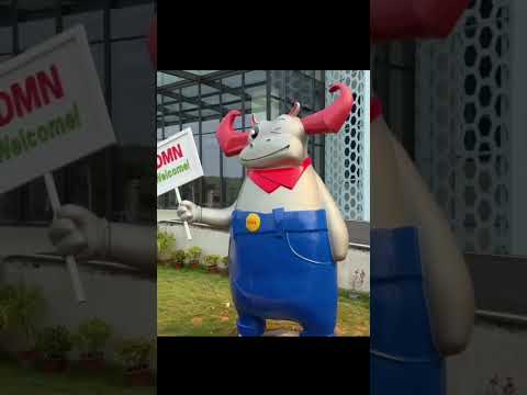 The best shoe on the market at the moment? #dynafish