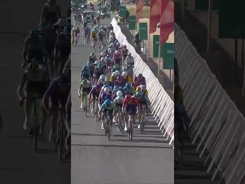 Matteo Malucelli times it to perfection 🤩 The Italian pips compatriot Jonathan Milan to the line.