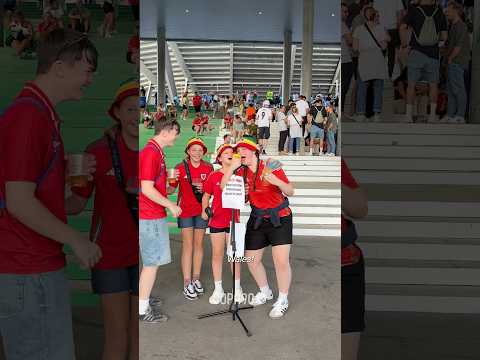 What The Euros Meant To Welsh Fans…