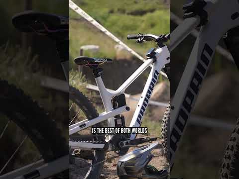 Ferg's bike check 🚲