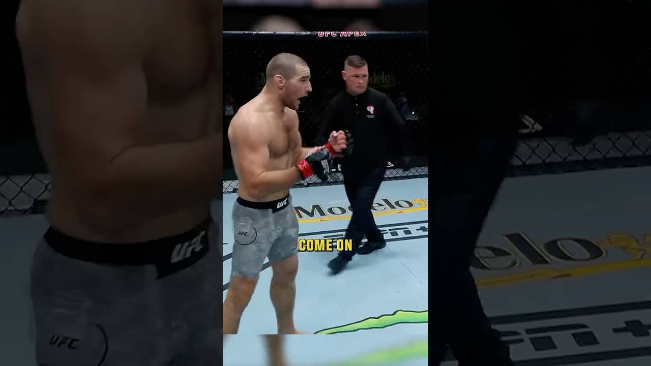 Sean Stricklands Trash Talk is TOO FUNNY #ufc328