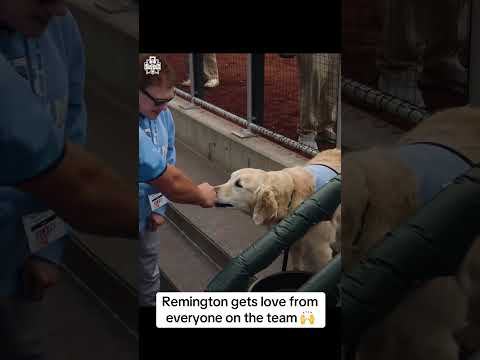 UNC got good luck from Remington before the MCWS Final ❤️ (via ncaabsb/TT)