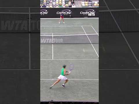 Clay season is back! 🧱 #WTA #CharlestonOpen #DonnaVekic #Tennis