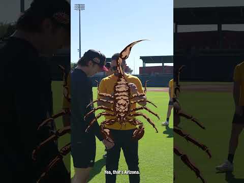 A Day in the Arizona Fall League with Aiden May