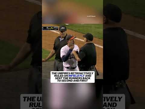Did the umpires make the right call?