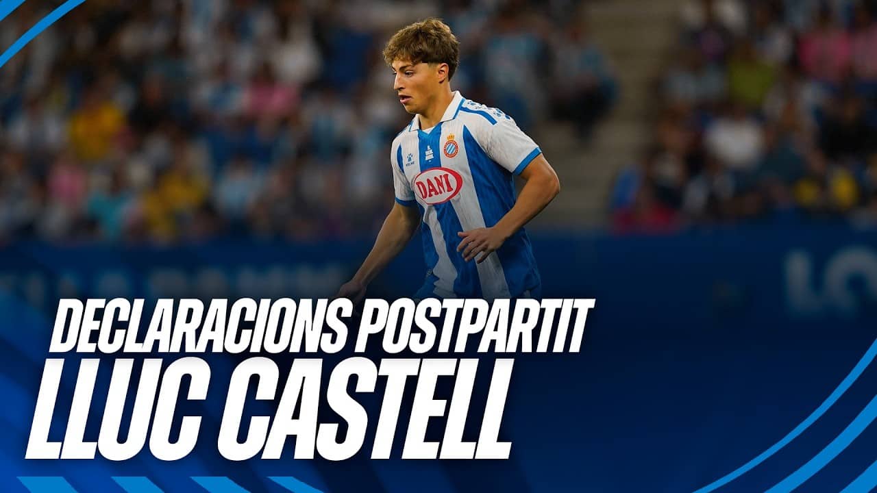 Declaracions de Lluc Castell