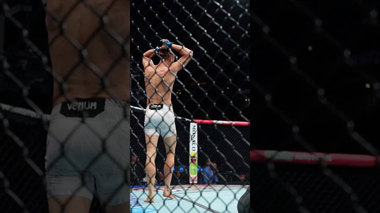 Another KO for Belgaroui! #ufcseattle
