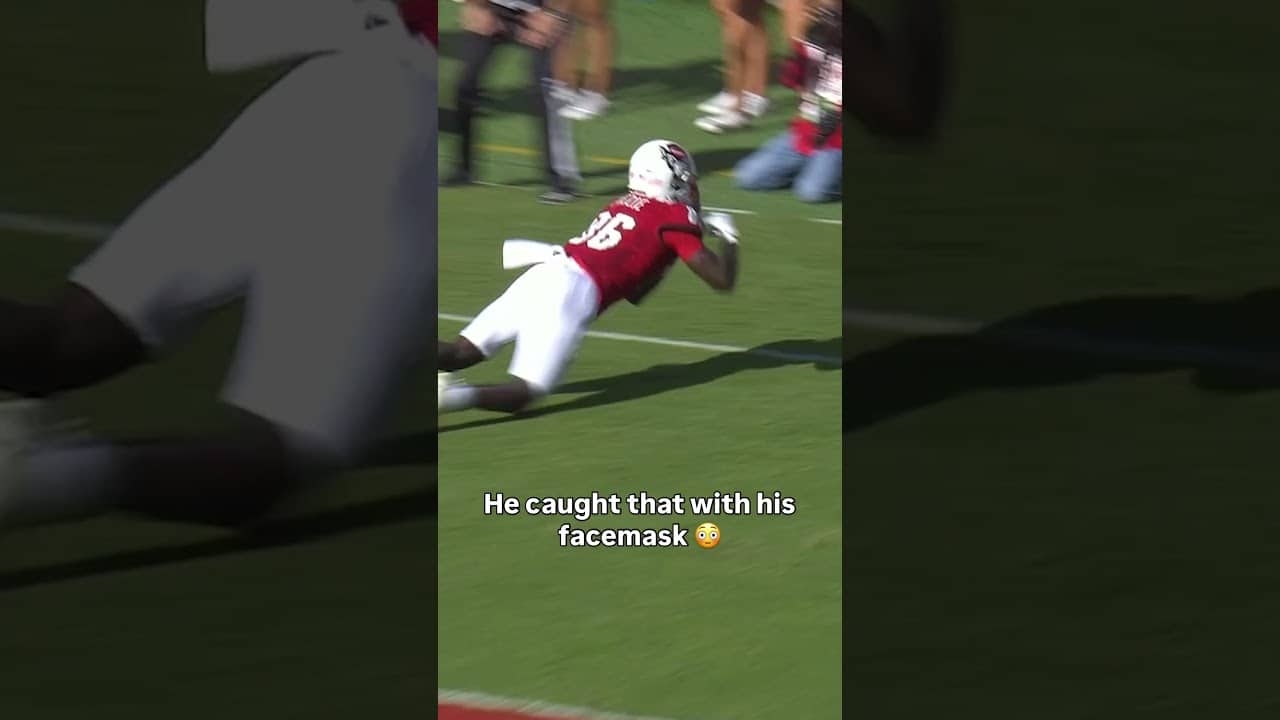 How did he hold onto that?! 🤯 #ncstate #accfootball #collegefootball