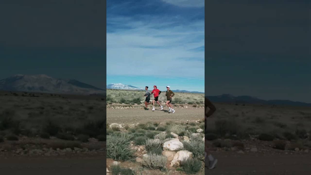 Sights from a Sunday Long Run #runner #marathon