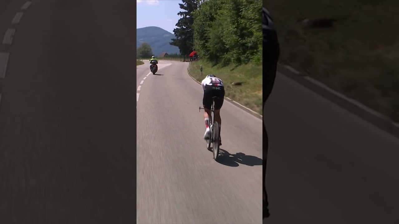 Close call 😱 A cat decides it's the perfect moment to cross the road... 🐈