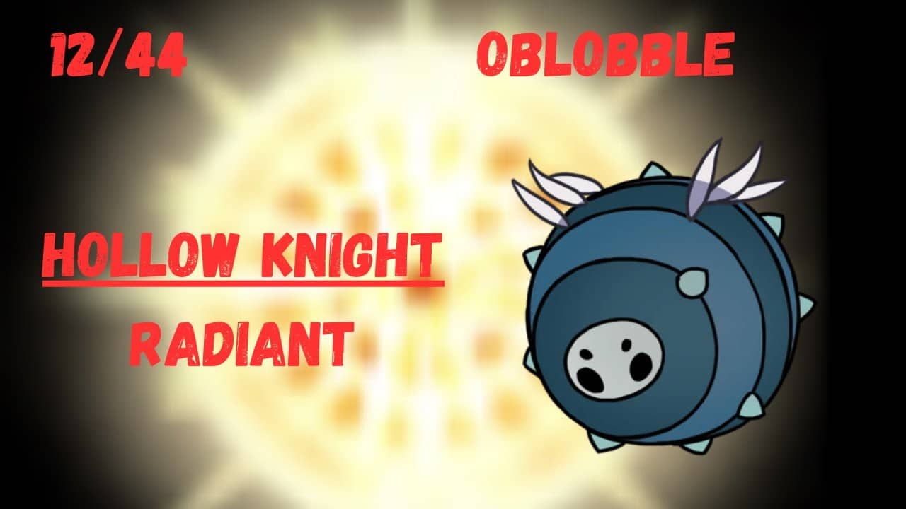 Hollow Knight | Oblobble | Radiant