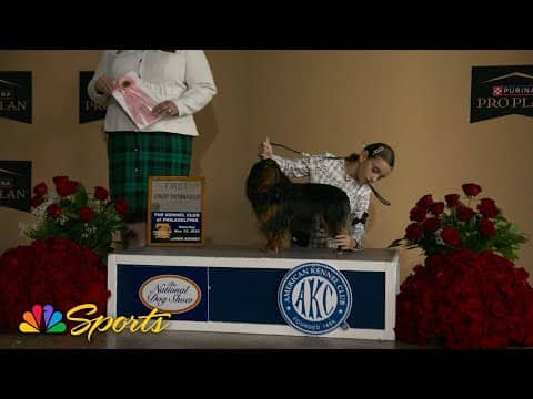 American Kennel Club junior handlers 'are our future' | NBC Sports
