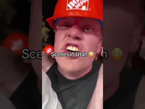 These fans are ready for GameDay 😂