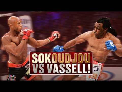Big Swarm vs African Assassin! | Linton Vassell vs Sokoudjou | Full Fight | Bellator 134