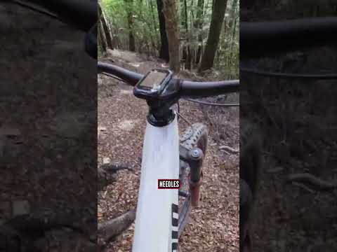 Let's ride a billionaire's bike park! 🚲💰
