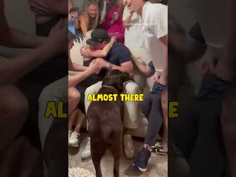 Oscar Delp's dog didn't care much about him being drafted to the Saints 😅 #saints #nfldraft