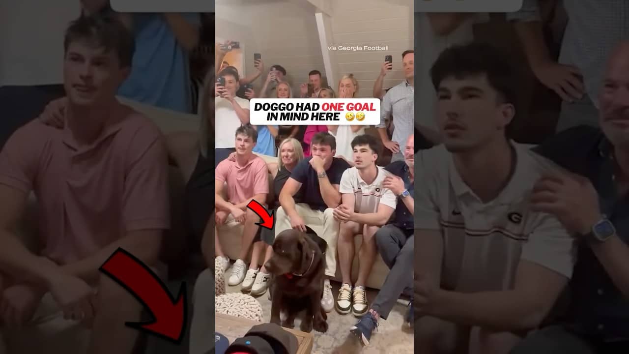 Oscar Delp's dog didn't care much about him being drafted to the Saints 😅 #saints #nfldraft