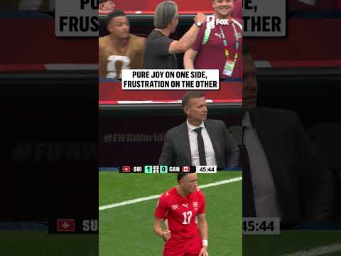 Murat Yakin and Jesse Marsch react to Switzerland's quick start to the second half