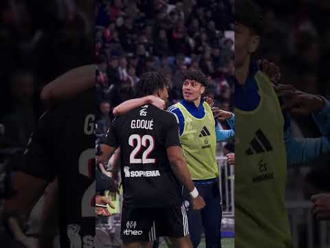 Panichelli, encore lui !