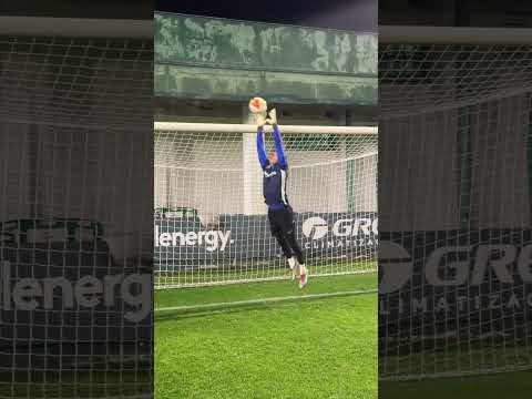 No confunda' un Lobo con un Husky 🐺❌